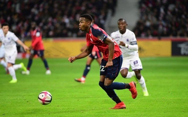 带有类似 带有类似