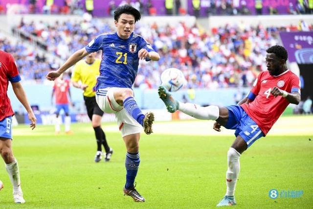 参与者的激 参与者的激