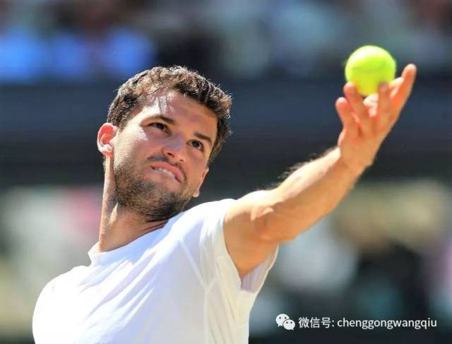 球隊的關注 球隊的關注